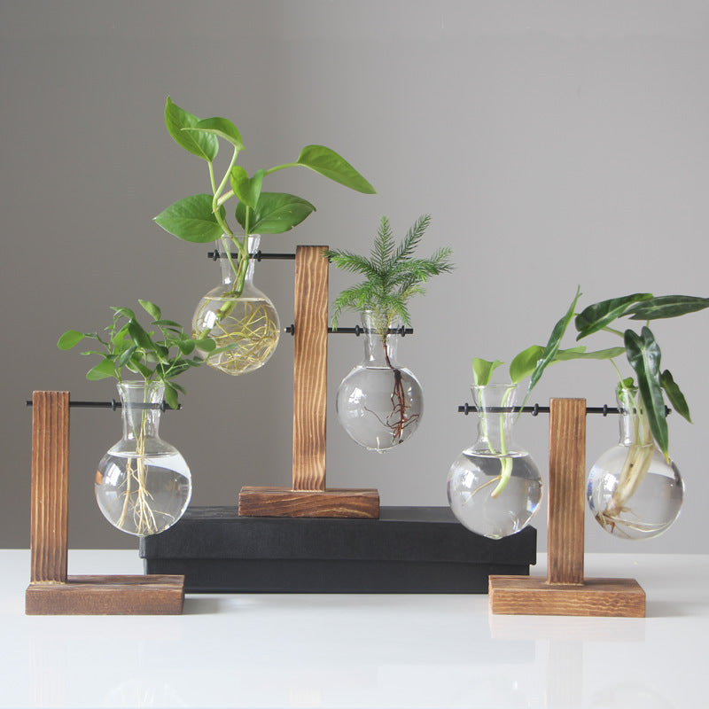 Elegant Decorative Accent for Modern Living Spaces