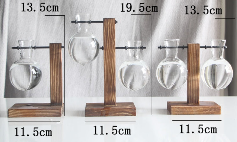 Elegant Decorative Accent for Modern Living Spaces
