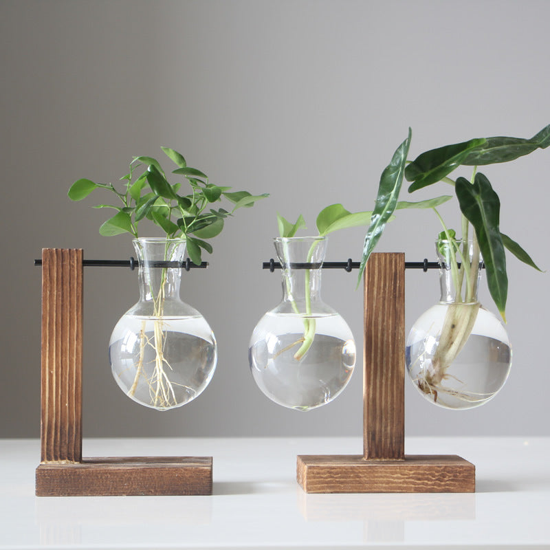 Elegant Decorative Accent for Modern Living Spaces