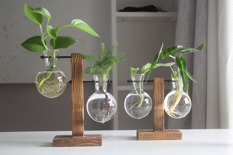 Elegant Decorative Accent for Modern Living Spaces